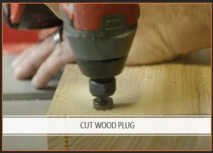 Cut A Plug